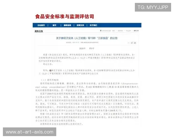 ag视讯版的安全保障措施，确保玩家资金安全与个人信息保护策略